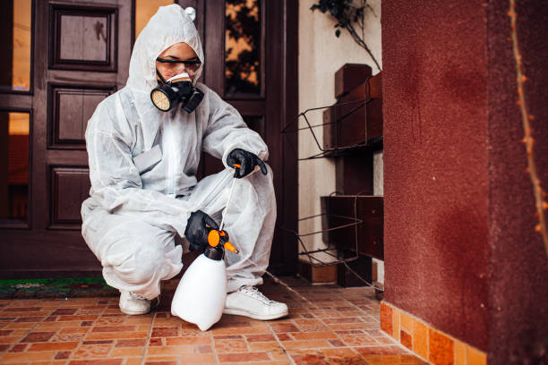 Reliable Ant Control contractor in East Mountain, TX by Show Me Pest Control